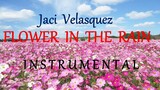 FLOWER IN THE RAIN  - JACI VELASQUEZ instrumental