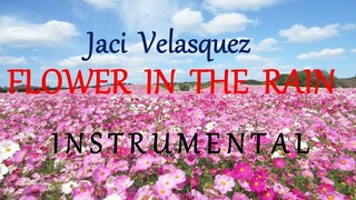 FLOWER IN THE RAIN  - JACI VELASQUEZ instrumental