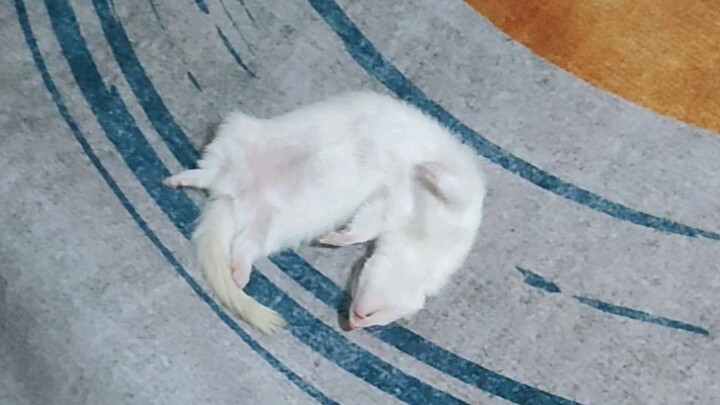 หัวเราะได้ แต่ช่วยเบาๆ หน่อยได้ไหม