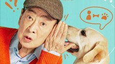 K-drama Dogs know everything ep 1 sub indo