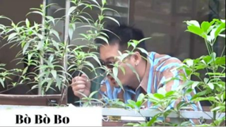 Quỵt tiền 2 #bobobo