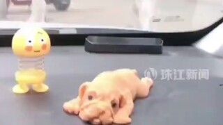 哈哈哈哈哈，狗～屎