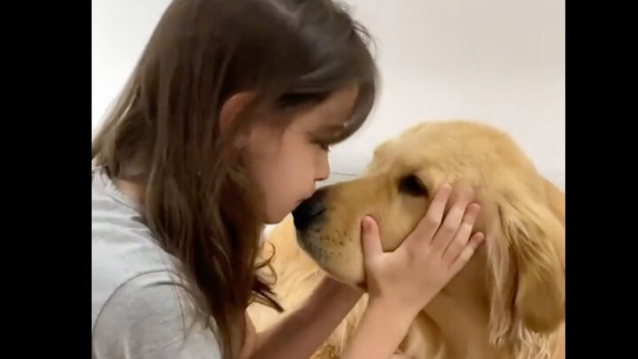 Siapa yang tidak ingin mencium si anjing besar!