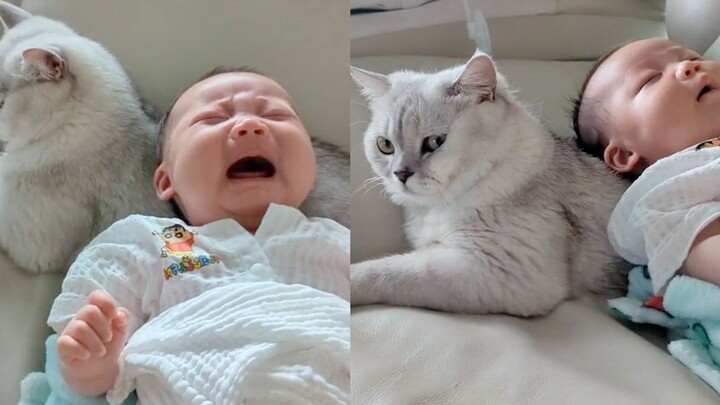 宝妈将萌娃放猫身上3秒止哭，猫表情让网友笑疯：娃是给我生的？