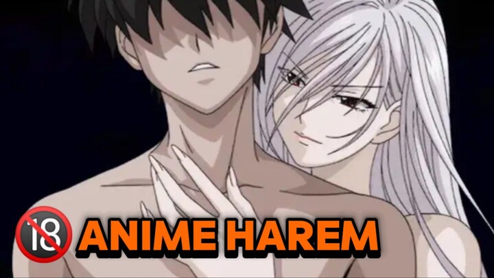 Anime jadul tuh HAREM nya Lebih BERASA