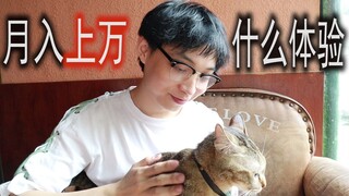 40万粉up能赚多少钱？ 揭秘行业内部实情！