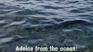 Advice from the ocean || jazziearl