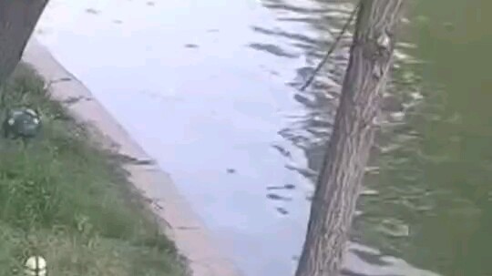 One person, in just over a minute, saved three families—truly a good person of China!