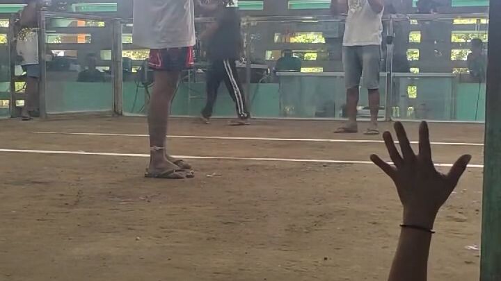 ayaw niyo sakin sabungero nananood ng anime , bigyan ko manok papa mo HAHAH