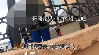 学生妹妹：哥哥你把我们四个带走吧！外卖小哥：跟我走吧