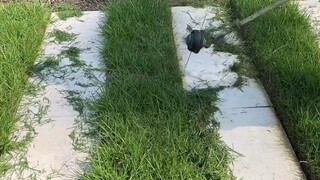 【胖虎解压视频】最新视频来袭，快来看看吧！