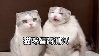 Sau này loại thử nghiệm này nhà tôi không tham gia nữa!