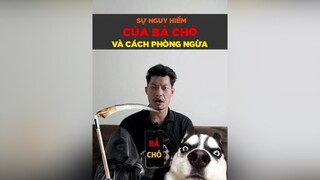 Sự nguy hiểm của bã chó và cách phòng ngừa tuitienpet petonesaigon petnhatrang dcgr