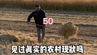It turns out that this is the current situation in rural areas in general!