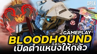 แหกปากเปิดสแกน Bloodhound [Gameplay] Apex Legends Mobile