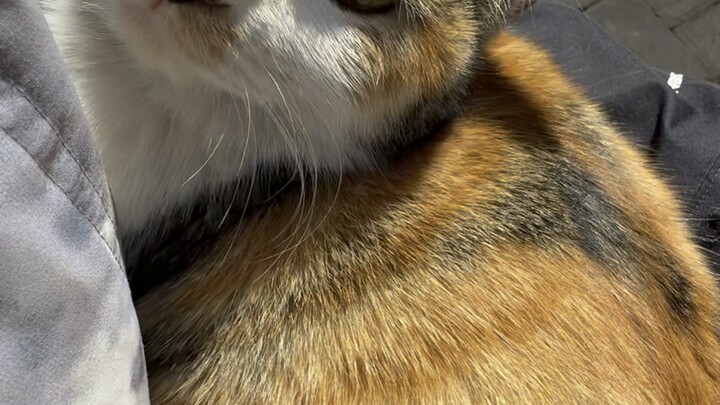 Running into Hakimi while basking in the sun—but no matter how hard I try, I just can’t beat him.