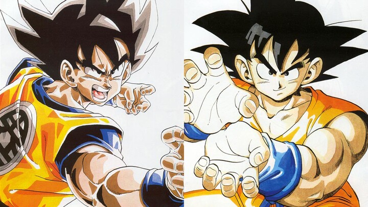 How many times did Goku use the Kamehameha in total?