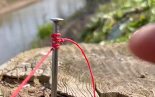 ملك العُقد الرباطية