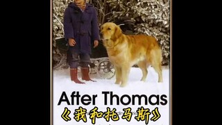 自闭症男孩遇治愈天使，狗狗托马斯改变一生
