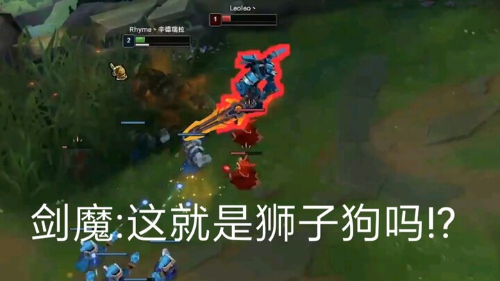 剑魔:这就是狮子狗吗!?