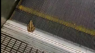 When you choose the wrong path...