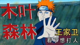 木 叶 森 林