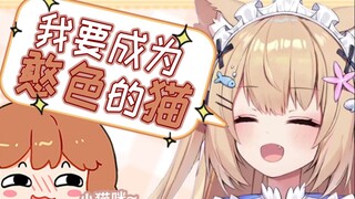 【三分钟看猫猫】太令猫羡慕了