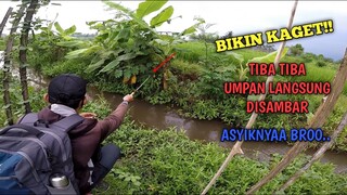 SAMPE KAGET...!! Waktu Umpan Tiba Tiba Disambar Ikan || Mancing Ikan Di Selokan Kecil