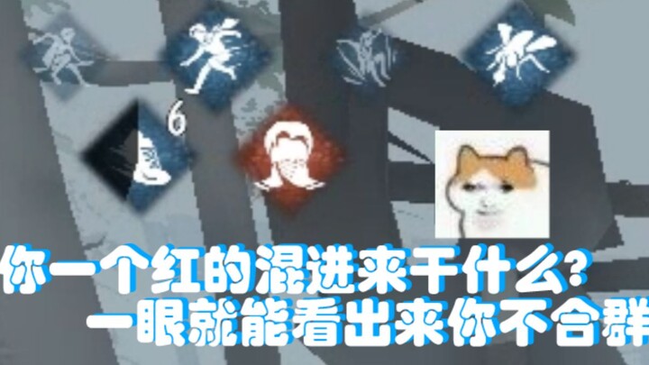 Anjing yang lewat saja pasti kena saya omeli sedikit