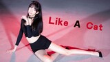 [Mei Ke] Gadis kucing sensitif "Like A Cat" sepasang sepatu stileto 12 cm!
