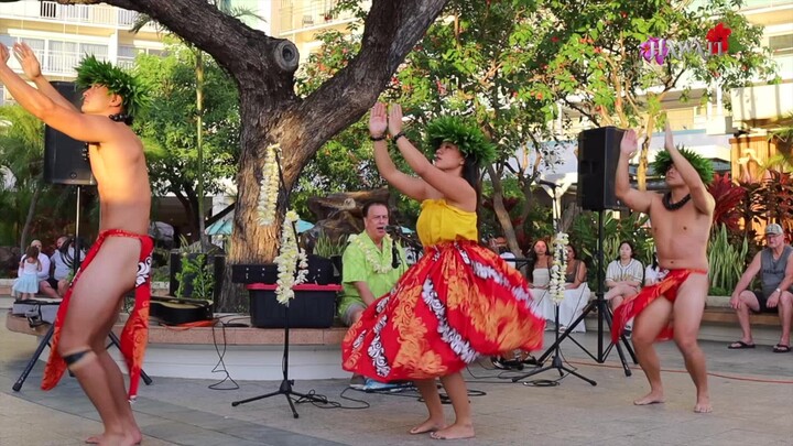 【Hula Hawaii】Hari ini: Tiga tarian hula Hawaii, tarian tutu