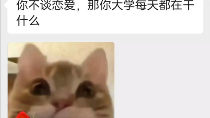 大学不谈恋爱会怎么样？会更加快乐! ! !