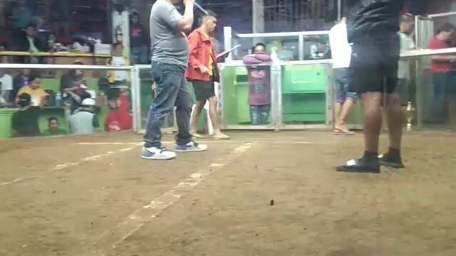 3rd fight spl gf88 at lipa cockpit wpc late born using a pure golden boy adm lines