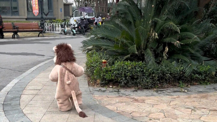 Seekor singa kecil yang diusir sampai jadi anjing oleh pak penjaga kompleks~