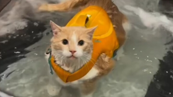 It’s as if it’s saying: Why did you put me here, humans? 😭