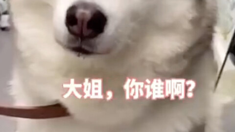 Biến mặt thật nhanh