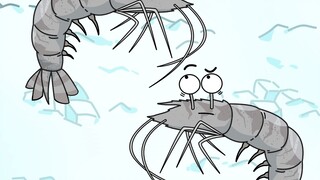 Give shrimps a beauty treatment to improve their value
