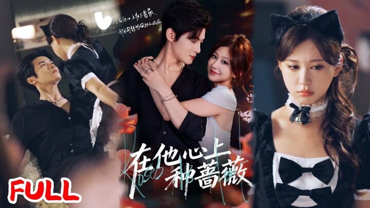 "Planting Roses in His Heart" #XieHongxin #ChaiHuixin