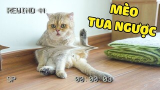 THỬ THÁCH 6 NGÀY 6 ĐÊM TUA NGƯỢC THỜI GIAN