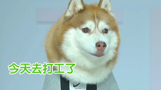 اليوم هو يوميات العمل في موقع التصوير، لا أشعر بالتعب حقًا، لكنه مفاجئ بعض الشيء...