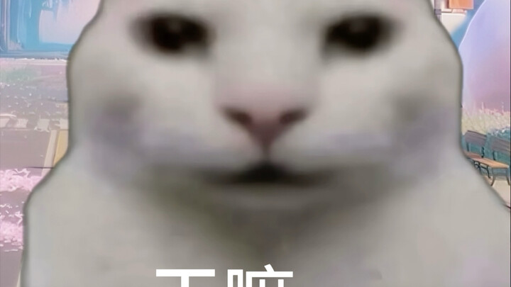 ทำอะไรน่ะ…（เจียงหนานกู่）