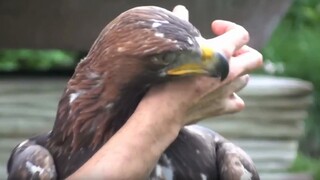 Sticky big cock