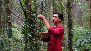 Lẩu Gà Lá Giang, Làm Thêm Mẹt Gỏi Gà Và Gà Nướng Thơm Ngon | Ẩm Thực Đồng Hao