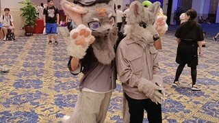 Exploring the animal kingdom—others: taking photos + cuddling. Me: Screw that, I'm just gonna show o