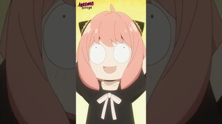 Anime Funny Moments English Dub