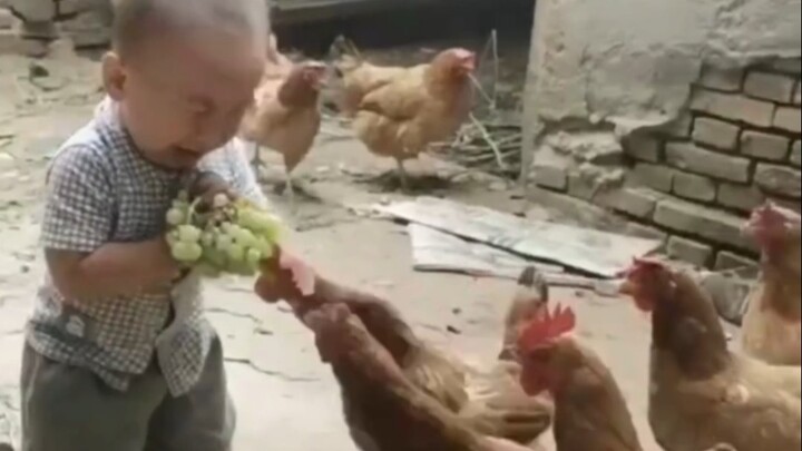 Rare footage of a Tyrannosaurus rex scavenging for food
