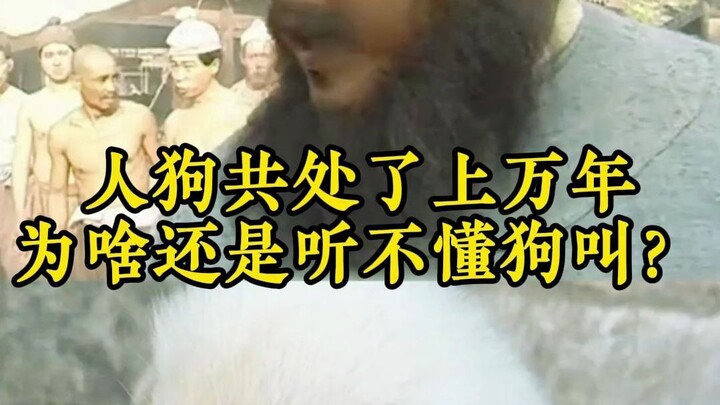 Humans and dogs have lived together for tens of thousands of years, so why can’t we still understand