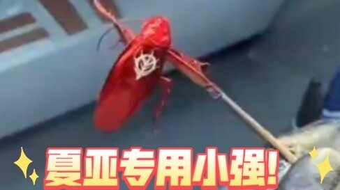 He is playing with something very new!! Char's special cockroach!