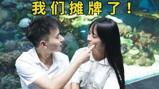 震惊！50万粉情侣up居然是公司人设！？？