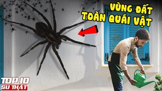 Top 6 Loài Động Vật Không Ai Muốn Gặp Phải Khi Đến "Hành Tinh Úc" | Top 10 Thú Vị Địa Lý